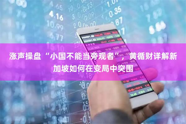涨声操盘 “小国不能当旁观者”，黄循财详解新加坡如何在变局中突围