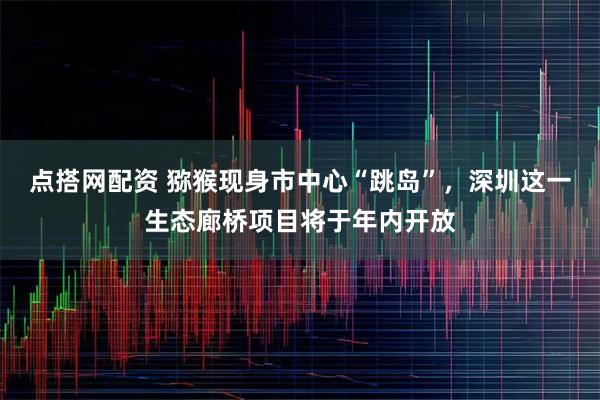 点搭网配资 猕猴现身市中心“跳岛”，深圳这一生态廊桥项目将于年内开放