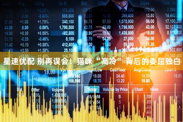 星速优配 别再误会！猫咪 “高冷” 背后的委屈独白