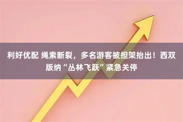 利好优配 绳索断裂,多名游客被担架抬出!西双版纳“丛林飞跃”紧急关停